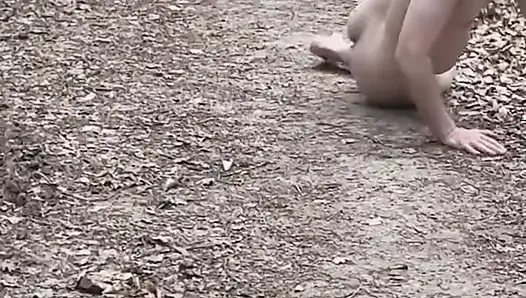 Penghinaan Di hutan...