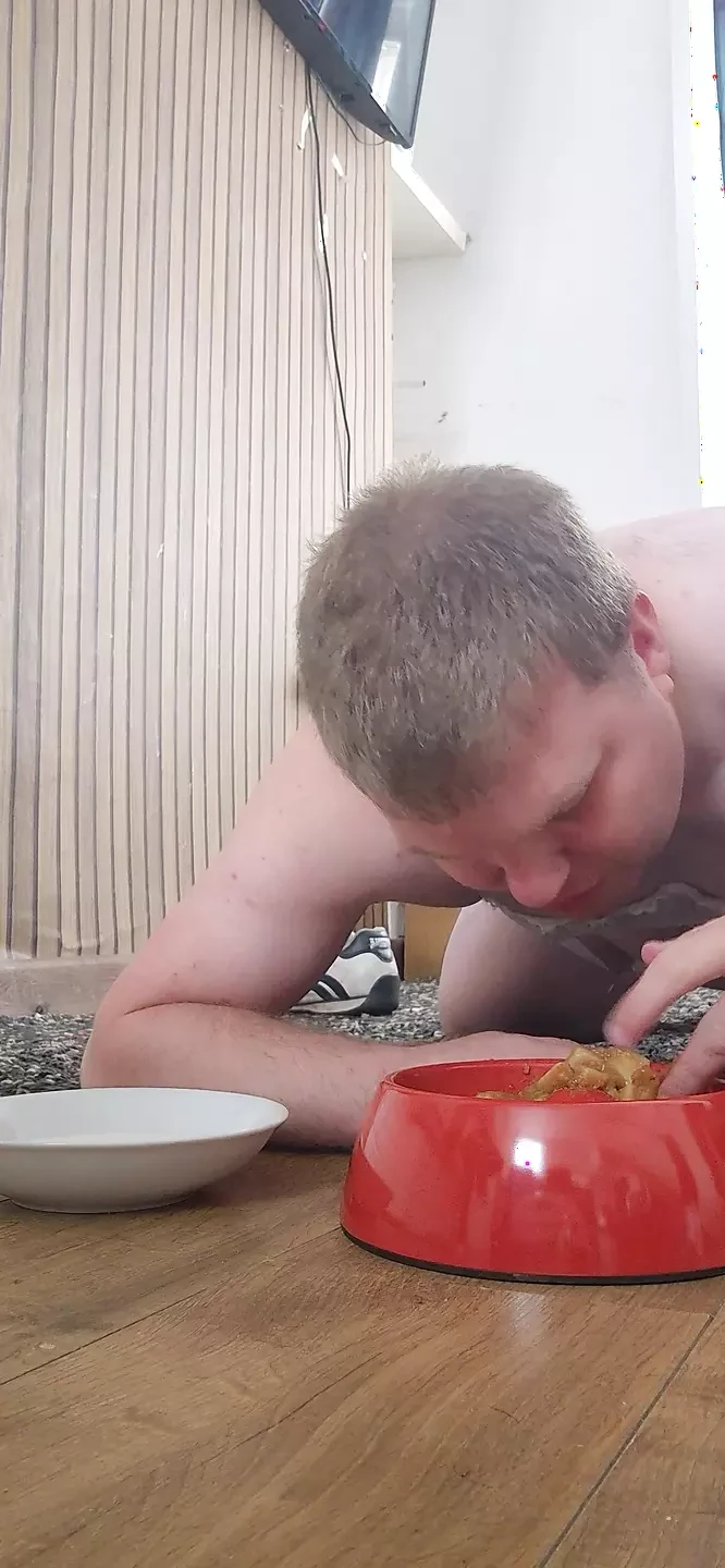 Pet eating from bowl