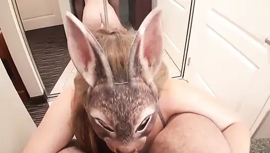 Kelinci Memberikan Blowjob