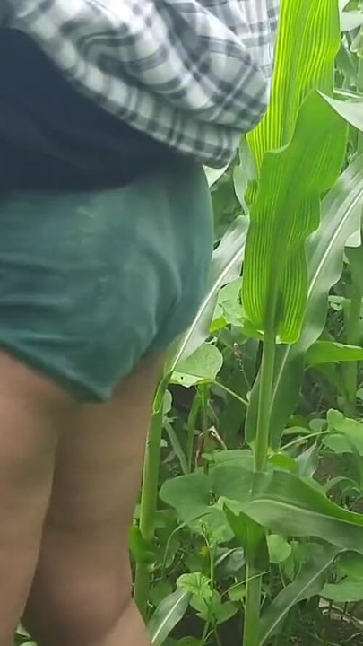Unforgettable moment from "Sister-in-law, who was cutting fodder in the outdoor field, suddenly the brother-in-law left,"