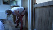 Pregled videozapisa