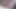 MMF バイセックス 2026 セックス。黒人コック・ラバー