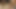 パラヴァロザは私のチンポをしゃぶり、深く突き、膣に精液を注ぎ込む