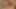 Sexy Asian girl loves big black cock
