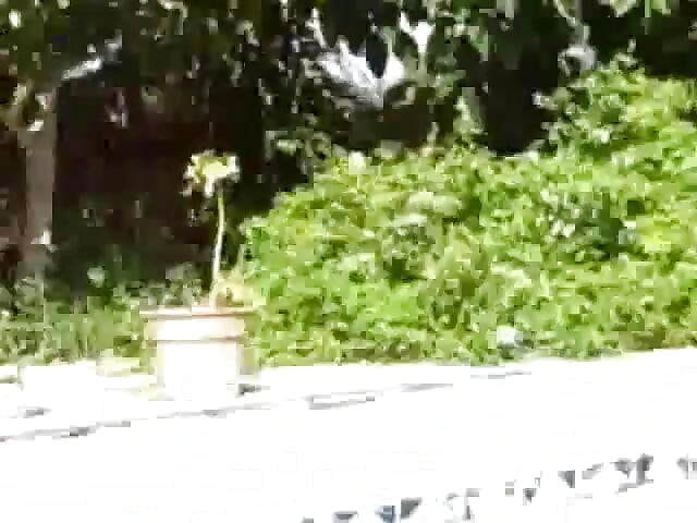 Sexxy Brandon: Diversão na piscina: Parte 1
