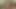 2 FAT cocks pounding BARE a horney ASS