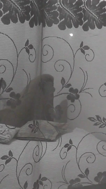 Jaw-dropping moment from "Public. Boy neighbor peeps on masturbating MILF through an opemn window"
