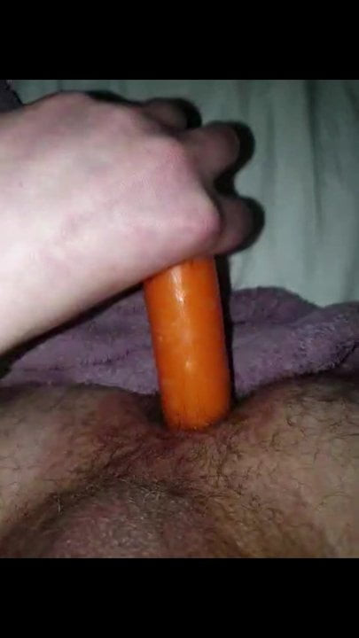 Carrot