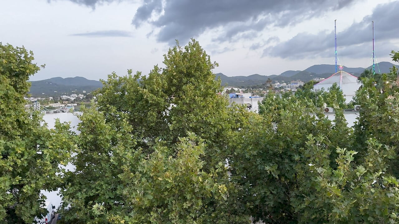 Kompilacja sikania