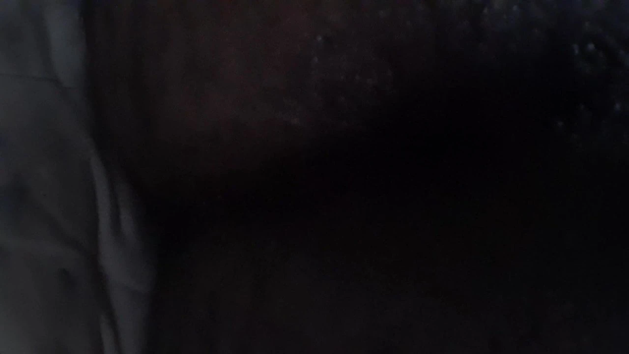 Bunde