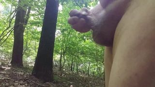 Jerking off naked in woods 2018