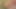 Desi village Stepsister viral xxx video fucking in jungle, skinny stepsister tight pussy fuck xx video