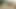 Muthu Pakda Gaya Desi Village Jungle Desi Bhabhi