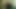 ドイツ人素人カップル