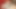 Dik sıska sarışın sıkı genç masturbates