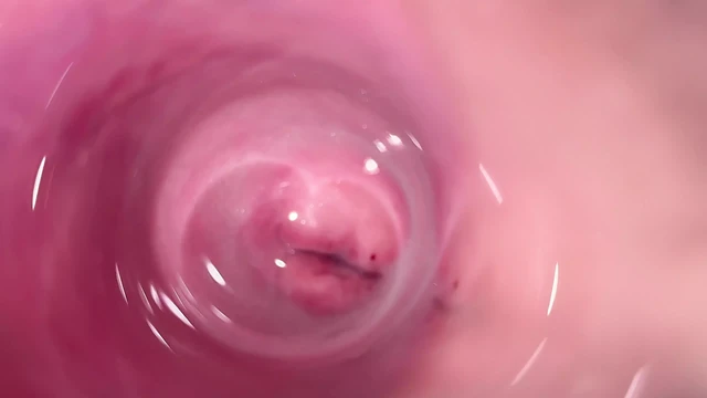Camera deep inside Mia's creamy pussy, teen Cervix close up
