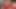 Pov ağızda birden fazla cumshots, durmadan! yetenekli oral seks 4k