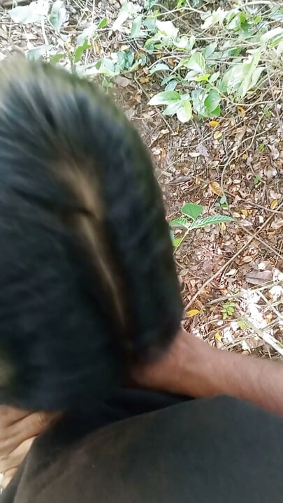 Sri lanka new laek