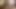 Two girls blowjob BBC - amateur