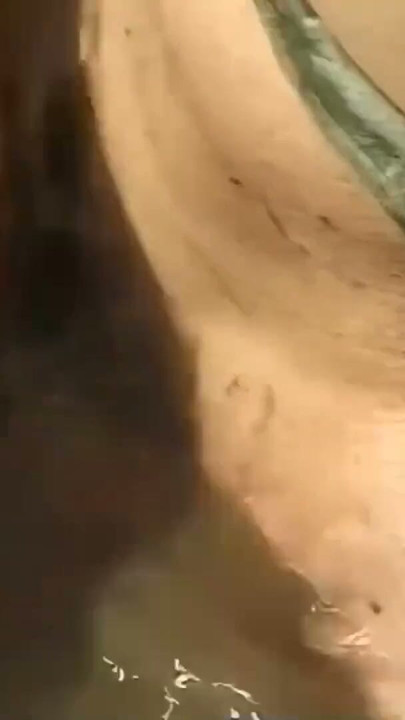 Kranker Fick beim Bauer naehe Hamburg - Facial Cumshot | Clip 2