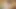 NinaDoll_BBW gets spunk all over her face