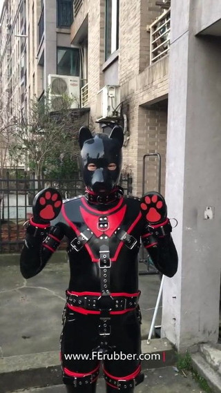 rubber pup fun 01