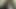 快楽を愛する人