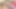 セクシーな主婦からのフェラチオ。