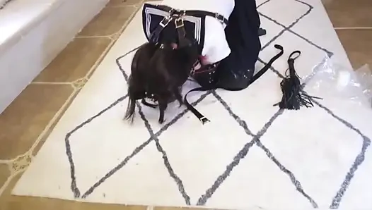 Dressed in Jk Clothes Is Restrained and Whipped