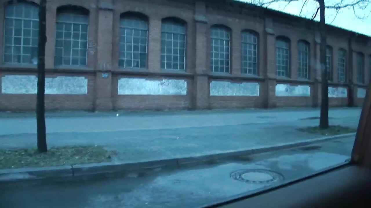 Picked up German Babe Enjoy Sucking Cock for Free Ride