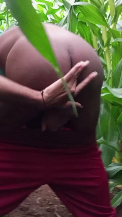College Desi eunuch has a lot of fun in the corn cob field at dusk | Clip 1