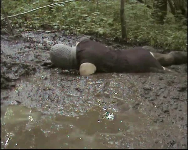mud dress 28