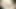 Tatlı Tulipan beni porno videosu çekmem için evine davet ediyor