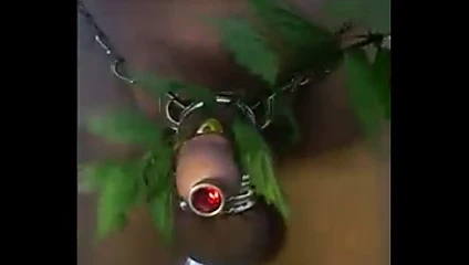 cbt