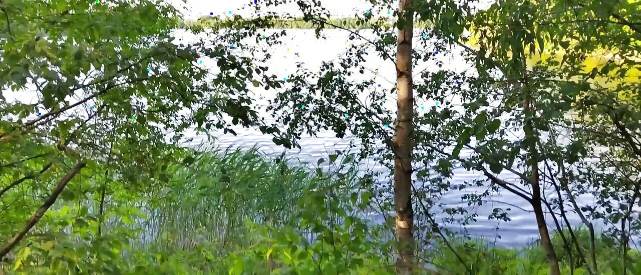 Stiefzus heeft plezier in de nieuwe auto en het bos. Bijna betrapt tijdens het zuigen in de rivier