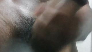 Touro do Sri Lanka se masturbando
