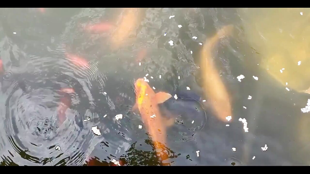 Napokon, idem na kupanje