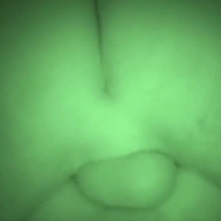 イケメン積ハードによってギャングスターの夜