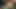 My wife message my  dick