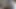 Koko okulda uzun bir günün ardından mastürbasyon yapıyor