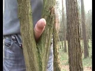 Tree helps him cum.flv