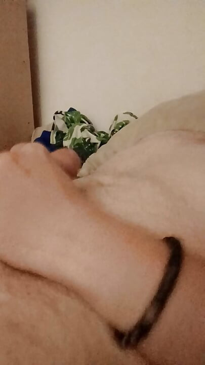 I and Cum on My Stomach, I Haven't Shaved