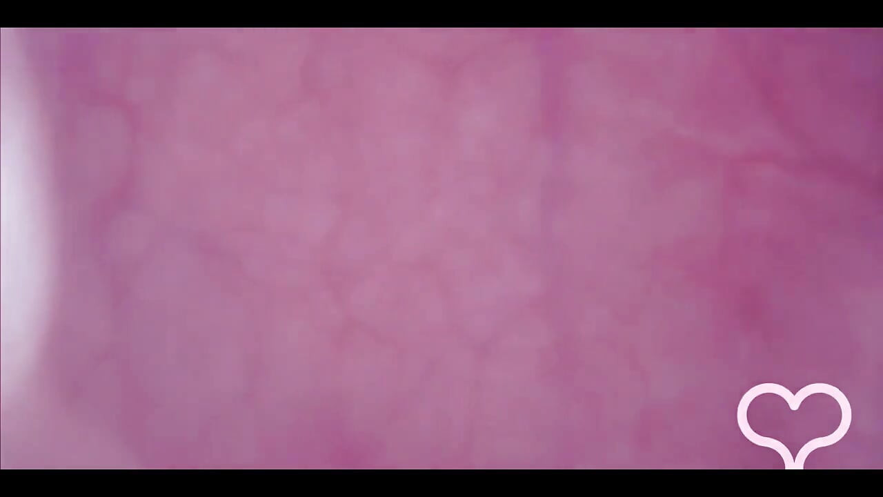 Jebana u moju pičku, kamera u mjehuru, luda izbočina!