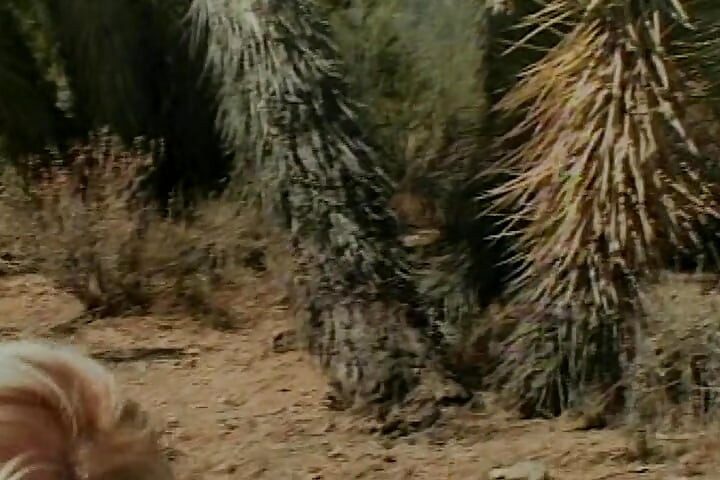 Hot outdoor fuck with superb blonde bitch