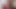 Sissycoca1はストリップして絶頂