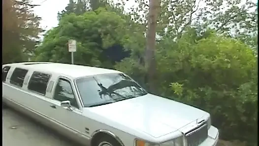 Vollbusige MILF will ein abenteuer in einer limousine haben