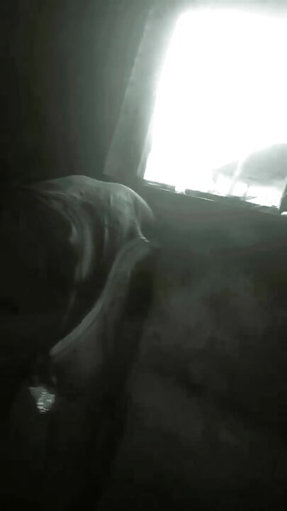 This Is the Best Fresh Pussy I Have Seen