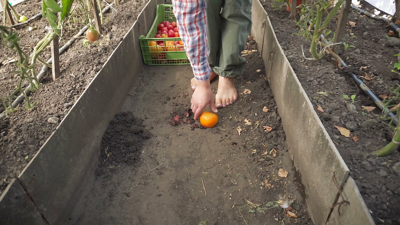 Squashing Tomatoes Barefoot in the Dirt Asmr