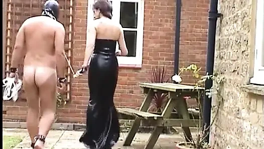 Meine Mayfield Stalls