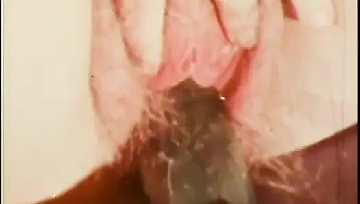 Sweet young vintage girl take a big cock